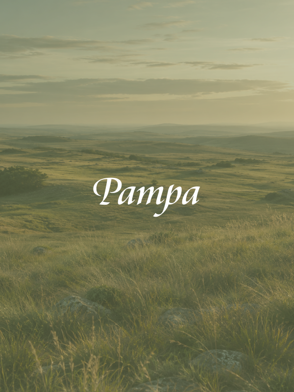 PAMPA