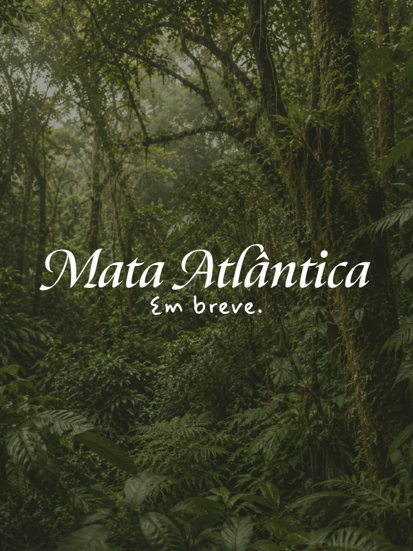 MATA ATLÂNTICA