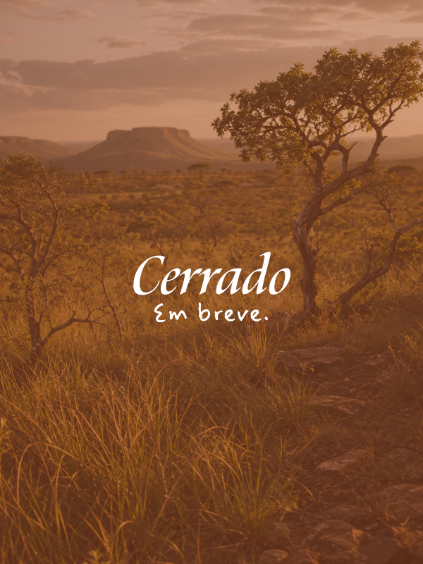 CERRADO