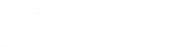Animalis